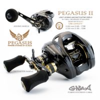 pegasus_light_jigging_baitcasting_reel (2)
