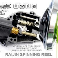raijin_worm_shaft_structure